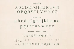 Merona Heavens | Ligature Serif