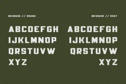 Mesquin Font