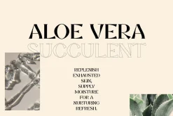 Mia Culver – Cool Display Serif