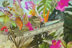 Miami Beach Collage Elements
