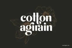 michael - beauty ligature font