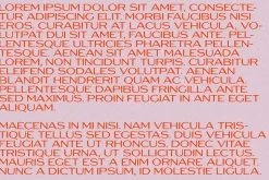 Mijo Typeface