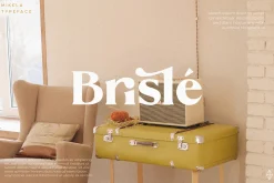 Mikela - Gorgeous Typefaces