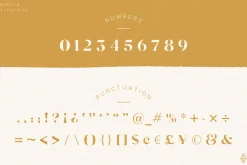 Mikela - Gorgeous Typefaces