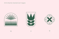 Minimalist Botanical Logos