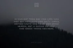 Mjölnir - Nordic Tribal Font