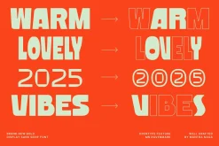 MN Ravenmark - Bold Display Sans
