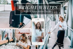 Mobile Lightroom Preset BRIGHT