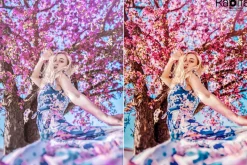 Mobile Lightroom Presets Bundle 200+