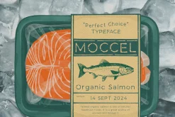 MOCCEL TYPEFACE