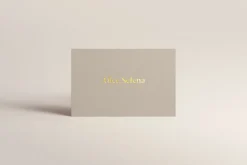 Mockup Kit Bundle