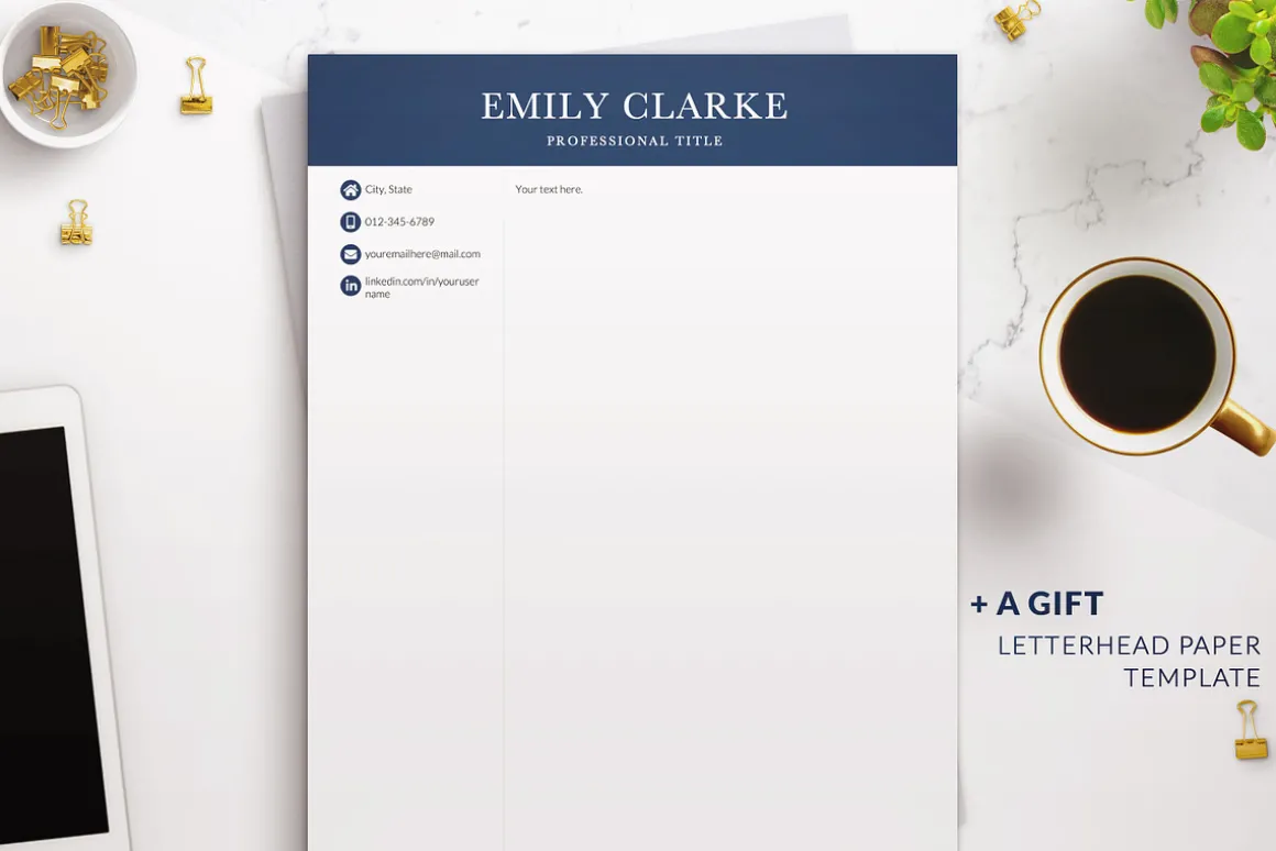 Modern Executive Resume CV Template