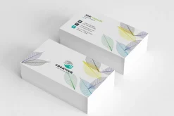 Modern Business Card