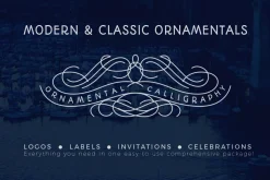 Modern & Classic Ornament Styles