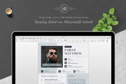 Modern Executive CEO Resume Template
