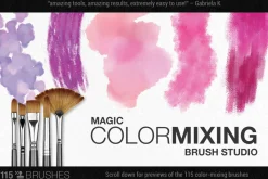 Modern Impressionist PS Brush Studio