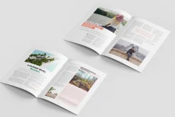 Modern Multiple Magazine Layout