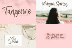 Modern Script FONT BUNDLE