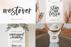 Modern Script FONT BUNDLE | Part 2