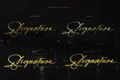Modern Signature