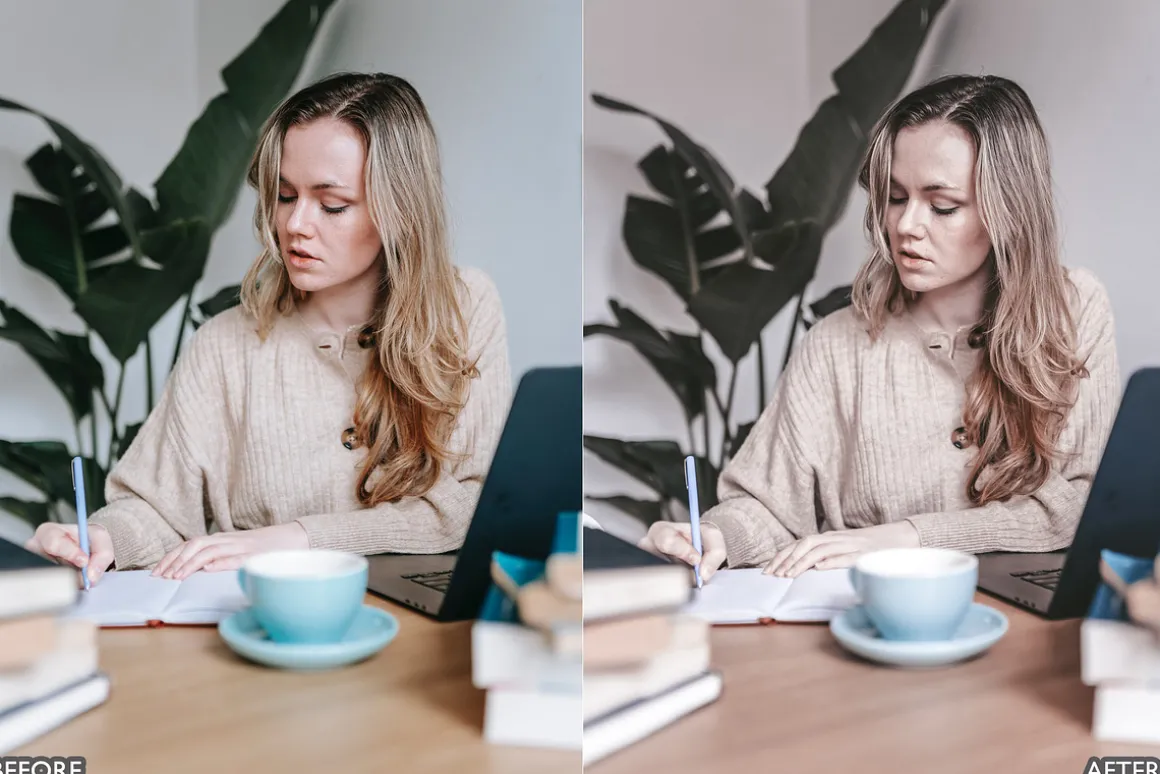 Modern Tones Lightroom Presets
