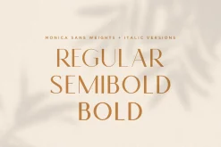 Monica - Classic & Elegant Sans