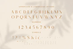 Monica - Classic & Elegant Sans