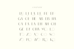 Monic - Modern Ligature Font