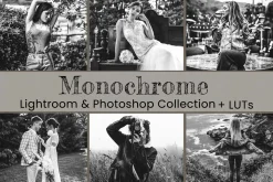 Monochrome Lightroom Photoshop LUT