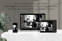 Monochrome Lightroom Photoshop LUT