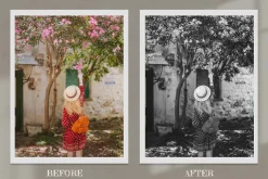 Monochrome Lightroom Photoshop LUT
