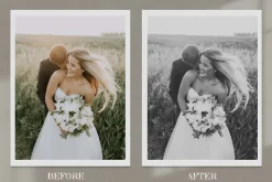 Monochrome Lightroom Photoshop LUT