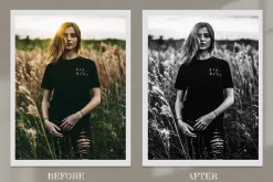 Monochrome Lightroom Photoshop LUT