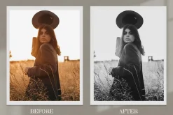 Monochrome Lightroom Photoshop LUT