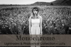 Monochrome Lightroom Photoshop LUT