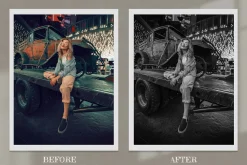 Monochrome Lightroom Photoshop LUT