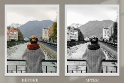 Monochrome Lightroom Photoshop LUT
