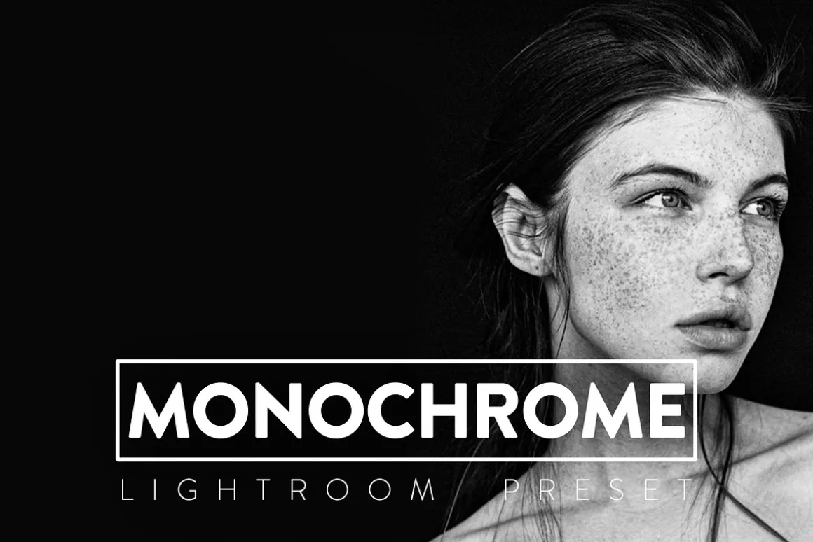 10 MONOCHROME Lightroom Presets