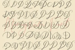 MONOGRAM D | Monofont caps D