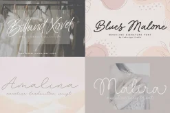 Monoline & Handwritten Font Bundle