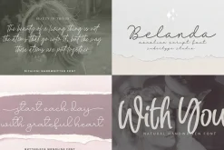 Monoline & Handwritten Font Bundle
