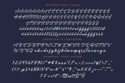 Monthly Raine Bold Calligraphy Font