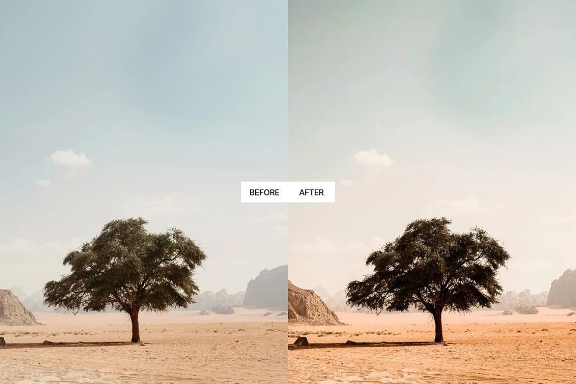 Moody Earth Tones Lightroom Presets