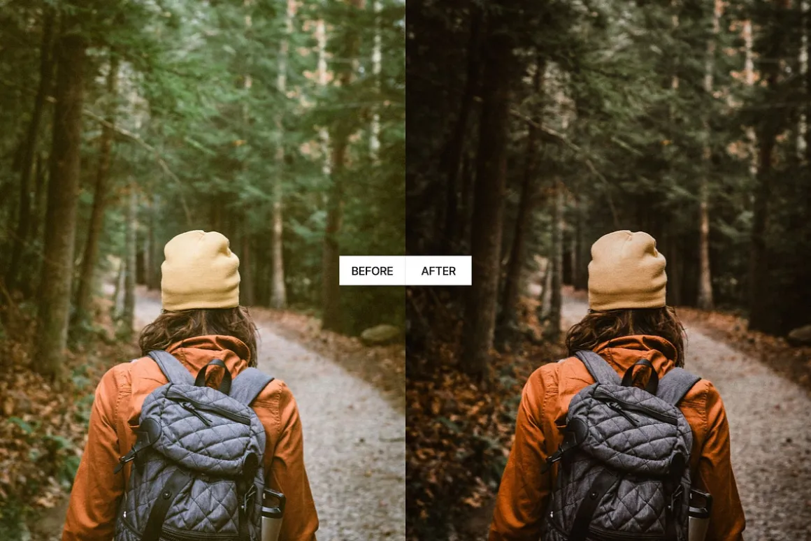 Moody Earth Tones Lightroom Presets