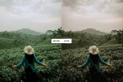 Moody Earth Tones Lightroom Presets
