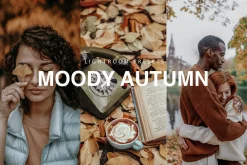 30 MOODY AUTUMN PRESETS