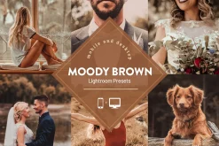 Moody Brown Lightroom Presets