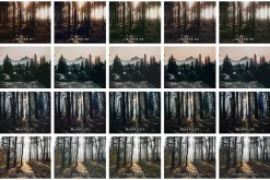 20 Moody Forest Lightroom Presets