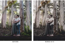 20 Moody Forest Lightroom Presets