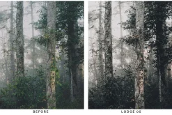 20 Moody Forest Lightroom Presets